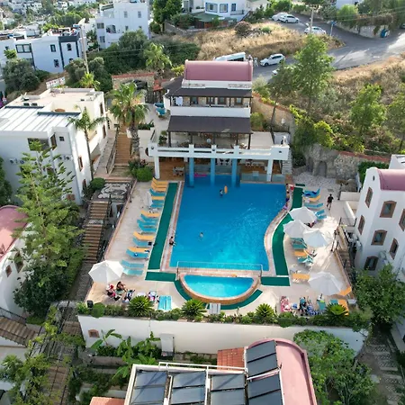 Zera By Oezuekara Αλικαρνασσός